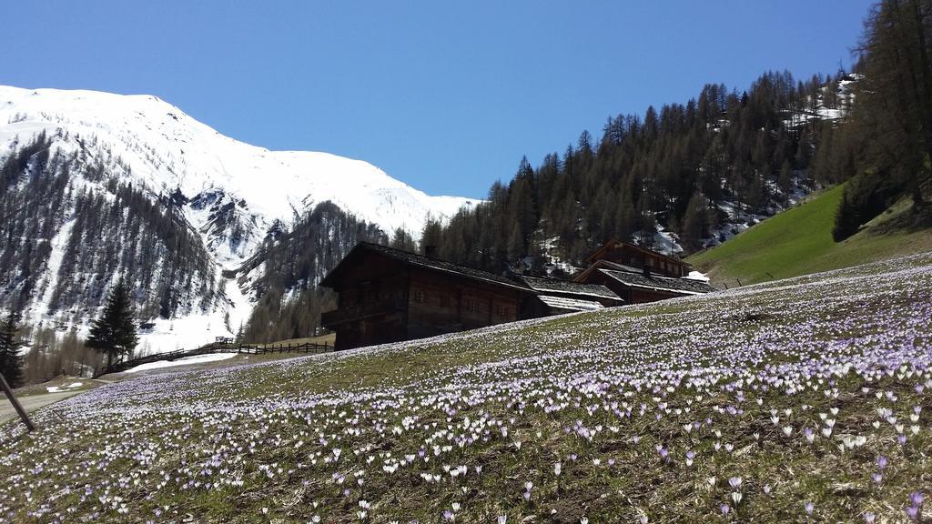 Giatla Hof Der Alfenalm - Ferienwohnungen Am Berg Иннерфильгратен Экстерьер фото